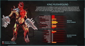 King Fleshpound